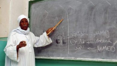 كلمات لا يفهمها إلا المصريون