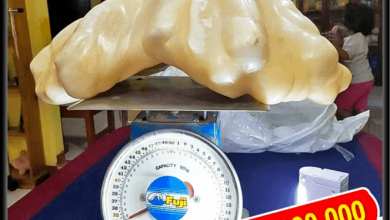 صدف مدهشة حولت أصحابها إلى أثرياء في غمضة عين