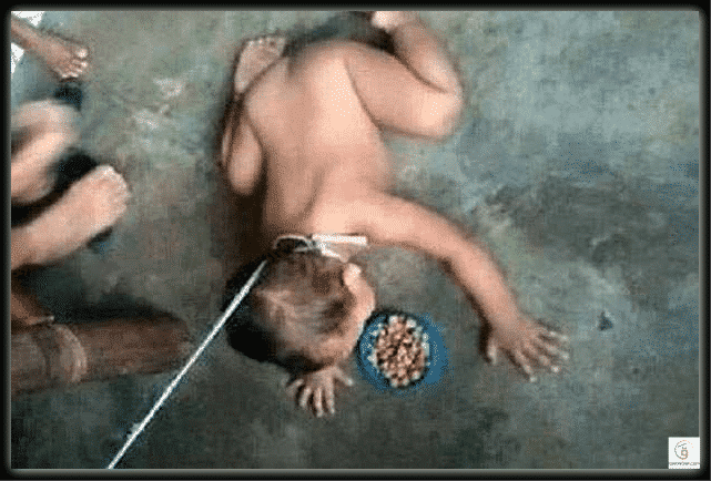 الحقيقة وراء رضيع قتلوا والديه وجعلوه عاريا مقيدا كالكلب"
