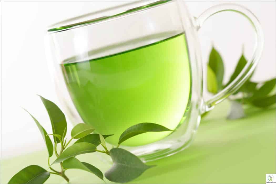 أعشاب طبيعية تقضي على الإنفلونزا في لمح البصر