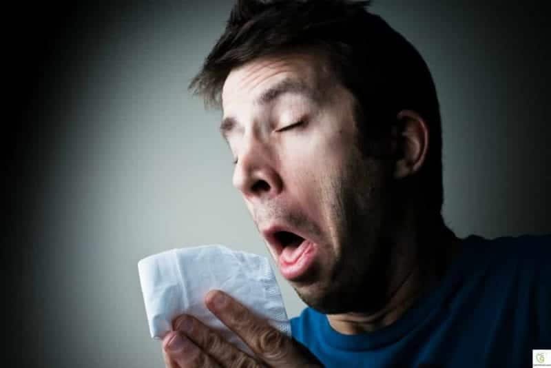 أعشاب طبيعية تقضي على الإنفلونزا في لمح البصر