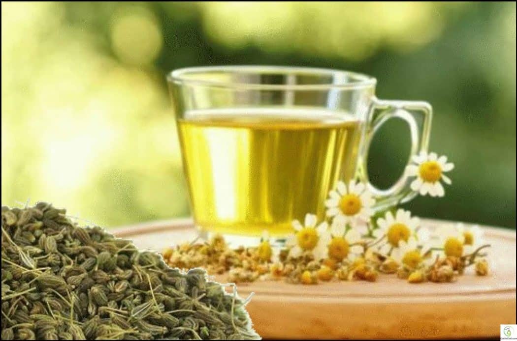 أعشاب طبيعية تقضي على الإنفلونزا في لمح البصر