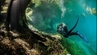 مدينة تحت الماء.. ظاهرة تحول حديقة عادية بالشتاء إلى البحيرة الخضراء المذهلة بالصيف!