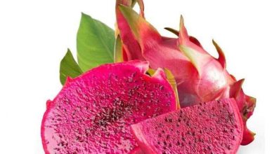 فاكهة التنين.. فوائد لا تصدق عند تناول البيتايا