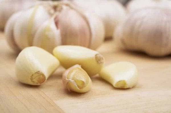 garlic