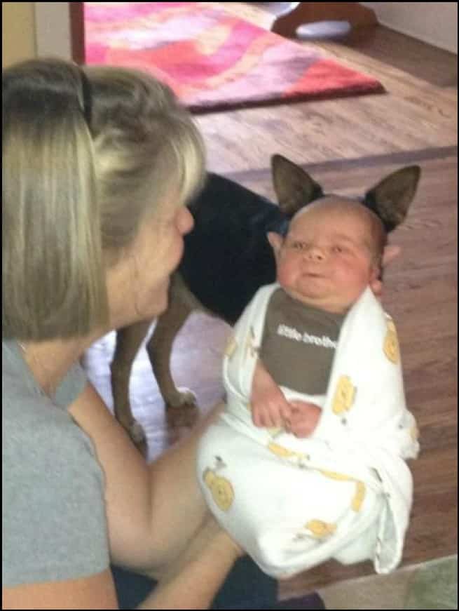 دخول مفاجئ على الصورة.. لم يفسدها بل جعلها أفضل كثيرا!