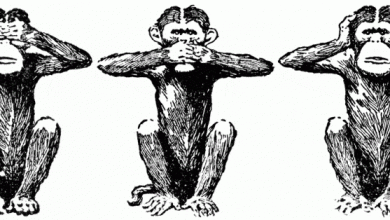 " لا أرى.. لا أسمع.. لا أتكلم".. التفسير الذي لا تعرفه لـ" قردة الحكمة"