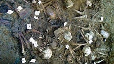 هل تم العثور على بقايا جيش فرعون في البحر الأحمر؟