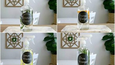 اصنعي بنفسك: معطر الخل.. أقوى وأوفر لمنزلك