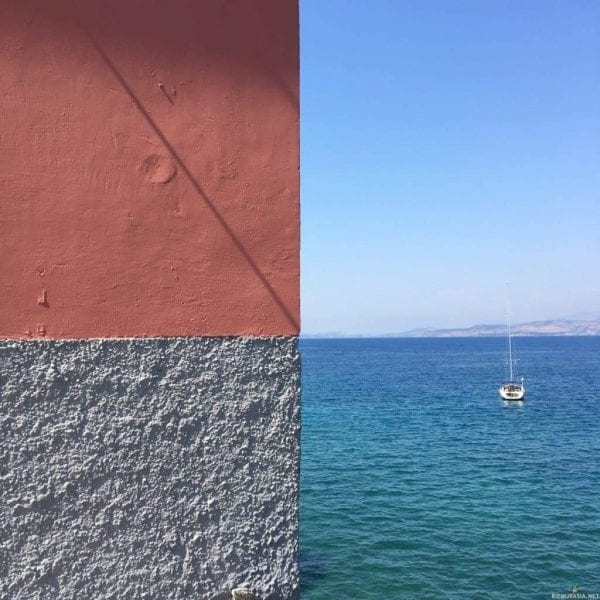 هل سبق لك أن رأيت طائر اللقلق يشبه هذا اللذيذ