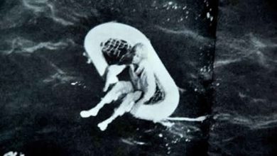 الطفلة تيري جو.. الناجية الوحيدة من مذبحة وسط البحار