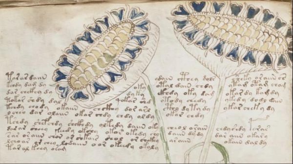 من أغرب الاكتشافات على مر التاريخ The-Voynich-Manuscript-Weirdest-Discoveries-Ever-Made-600x337