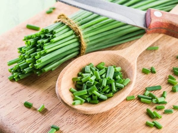 البصل الأخضر.. فوائد مذهلة لأقدم الخضروات