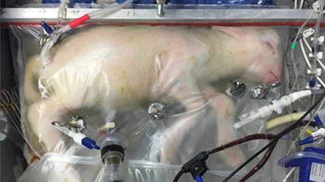 اكتشافات علمية حديثة تفخر بها الإنسانية اكتشافات علمية حديثة يجب أن تفتخر بها الإنسانية