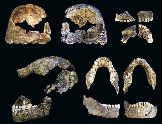 اكتشافات علمية حديثة تفخر بها الإنسانية اكتشافات علمية حديثة يجب أن تفتخر بها الإنسانية