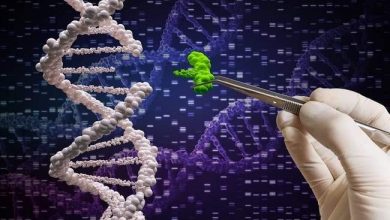 اكتشافات علمية حديثة تفخر بها الإنسانية