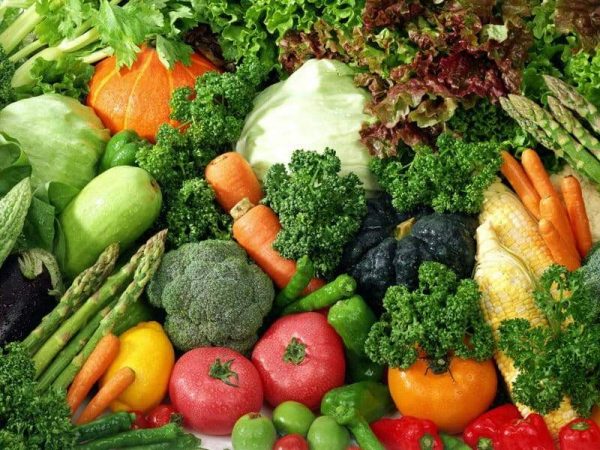 في اليوم العالمي للغذاء عدة نصائح للحصول على عادات غذائية صحية
