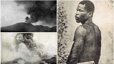 لودجر سيلباريس.. السجين المحظوظ الذي أنقذه محبسه من أشرس كوارث القرن العشرين