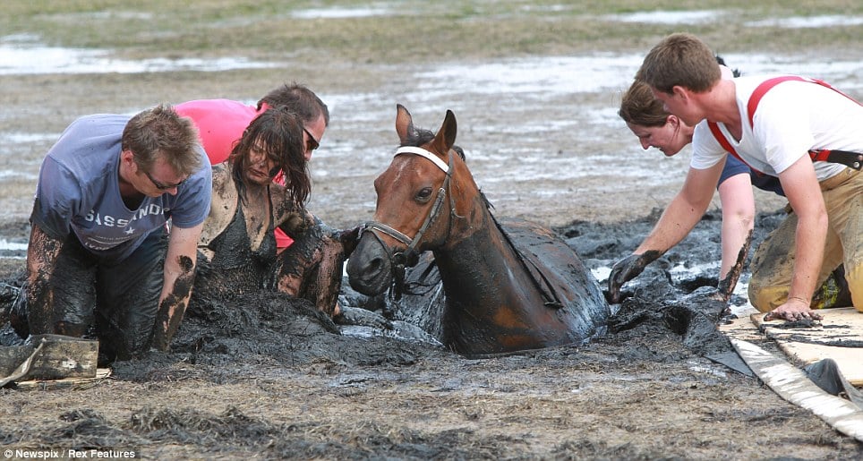 قصة إنسانية.. كيف نجحت سيدة في إنقاذ حصانها من الغرق بالأرض الطينية المتحركة؟