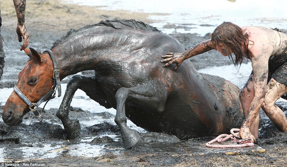 قصة إنسانية.. كيف نجحت سيدة في إنقاذ حصانها من الغرق بالأرض الطينية المتحركة؟