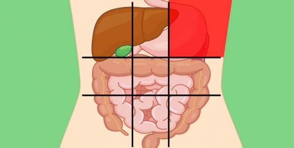 كيف تحدد بنفسك الجزء المصاب من جهازك الهضمي من خلال ألم البطن