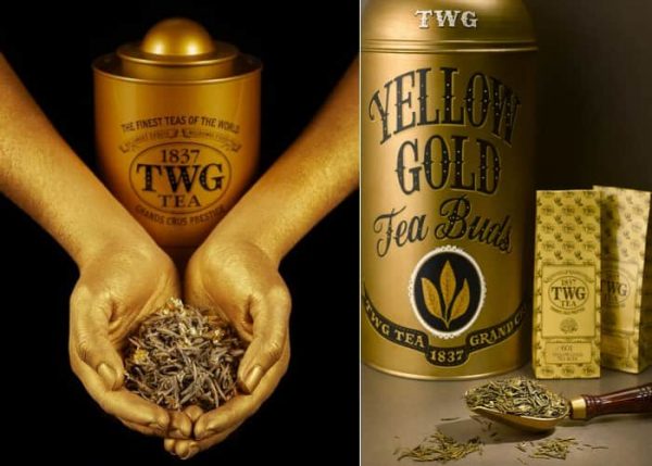 أغلى أنواع الشاي في العالم : شاي الذهب الأصفر