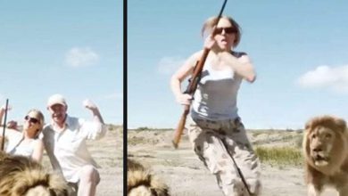 انتقام أسد.. حقيقة مقطع مرعب لافتراس رجل وفتاة بسبب الصيد