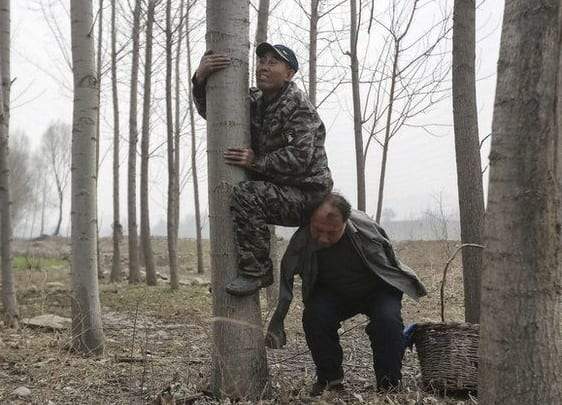صديقان للبيئة.. كفيف ومبتور الذراعين ينجحا في زراعة آلاف الأشجار في الصين