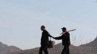 صديقان للبيئة.. كفيف ومبتور الذراعين ينجحا في زراعة آلاف الأشجار في الصين
