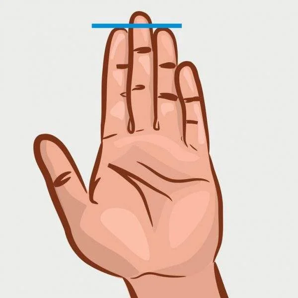 علاقة طول أصابع اليد اليسرى بطبيعة الشخصة ومواهبك