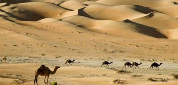 صحراء أنتاركتيكا
