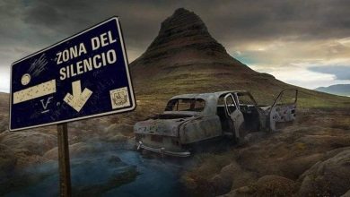 موت جماعي للحيوانات والاتصالات.. ماذا تعرف عن "حزام الصمت" بالمكسيك؟