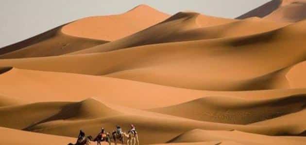 أنتاركتيكا.. أكبر صحاري العالم التي لا يعيش بها أحد