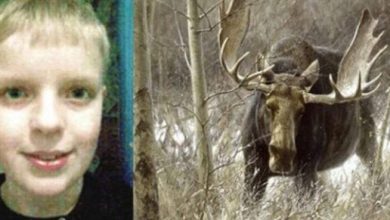 طفل ينقذ شقيقته من الموت على يد حيوان ضخم.. بمساعدة لعبة إلكترونية!