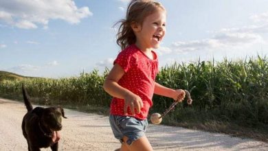 الكلاب الأليفة أم دعم الوالدين.. أيهما أكثر تأثيرا على الصحة النفسية للطفل؟