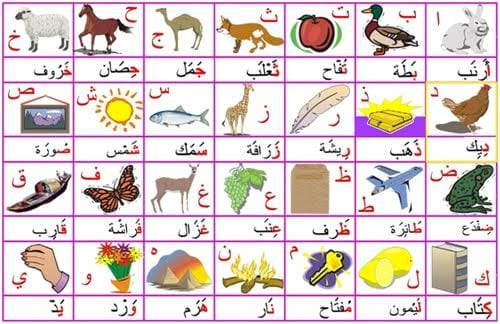 الحروف الأبجدية.. تاريخ حروف الهجاء وترتيب وأفضل الطرق لحفظها