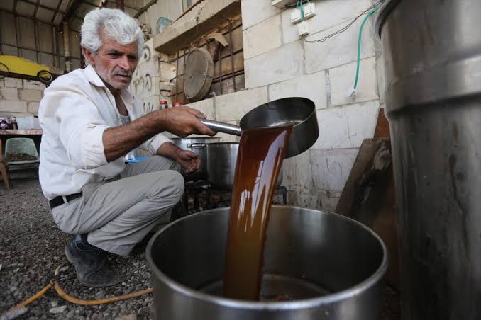 الدبس الفلسطيني.. عظمة التراث وجودة المذاق