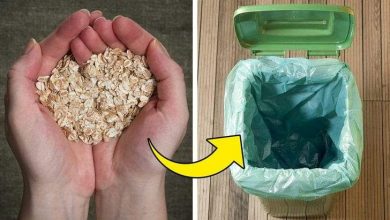 وسائل آمنة من أجل تحسين رائحة المنزل