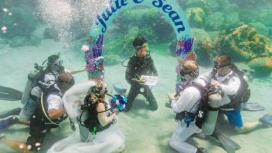 حفل زفاف تحت الماء.. صور مذهلة