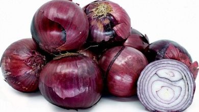 كيفية الاستفادة من البصل لعلاج البرد وانسداد الأنف