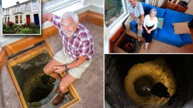 حفر الزوج أرضية المنزل الغامضة.. فاكتشف العالم الآخر المختبئ بالأسفل