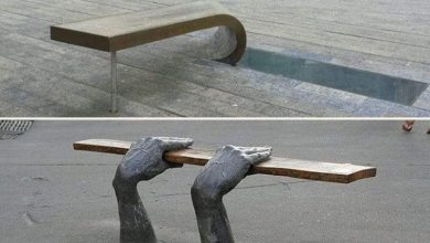 صور تبرز روعة إبداع المصممين