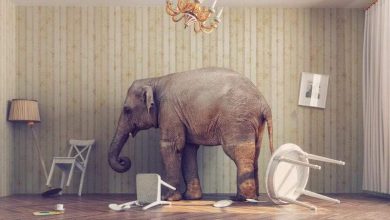 صور رائعة عن امتزاج الواقع والخيال