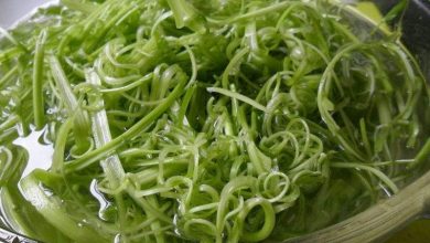 السبانخ المائي.. فوائد صحية لا حصر لها