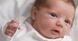 أنيميا الفول.. هل تقتلنا البقوليات؟ أنيميا الفول