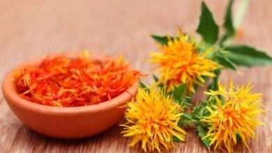 فوائد العصفر