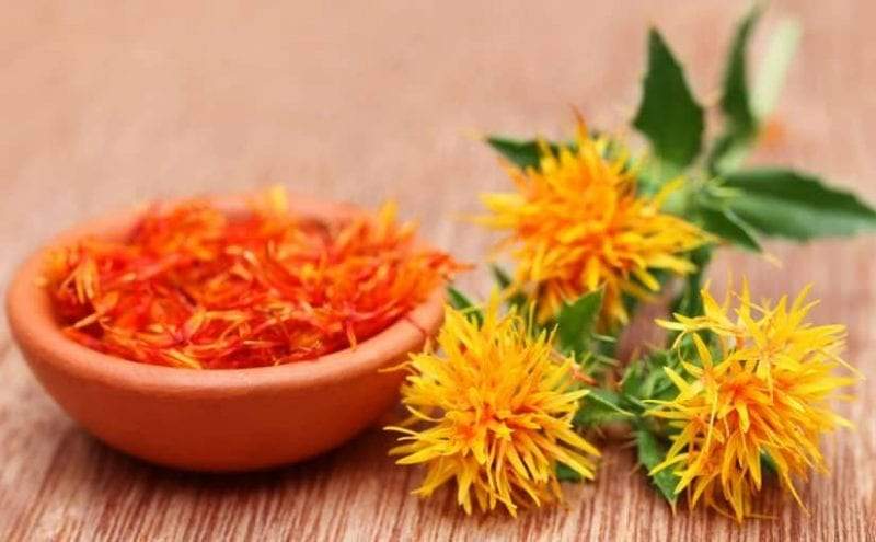 فوائد العصفر