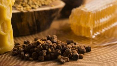 العكبر وفوائده.. ما هي بالتفصيل؟