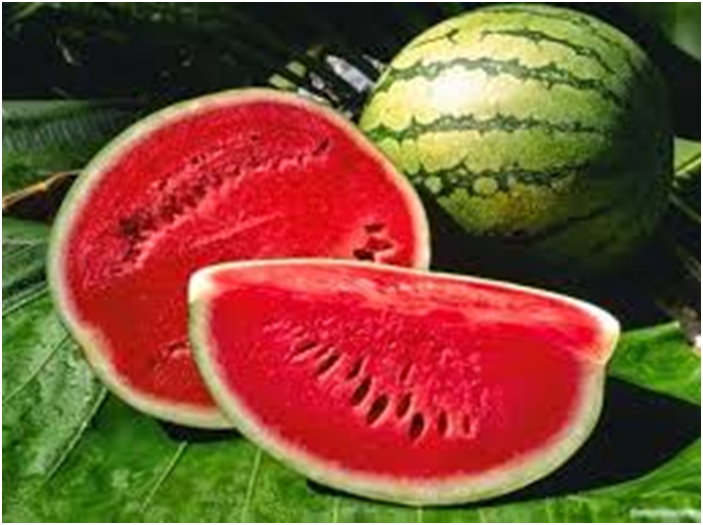 تقوية المناعة.. وأبرز فوائد قشر البطيخ