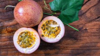 مضادات طبيعية للأكسدة.. فوائد فاكهة الباشن فروت